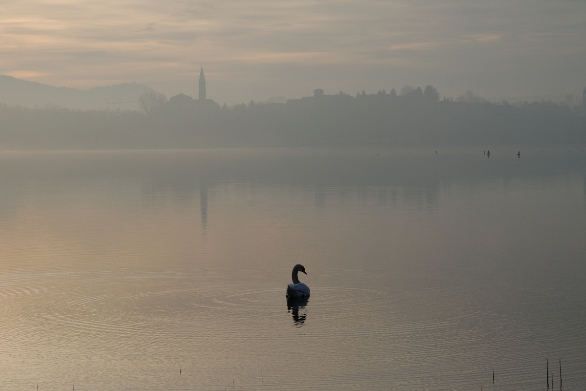alle prime luci del mattino ...