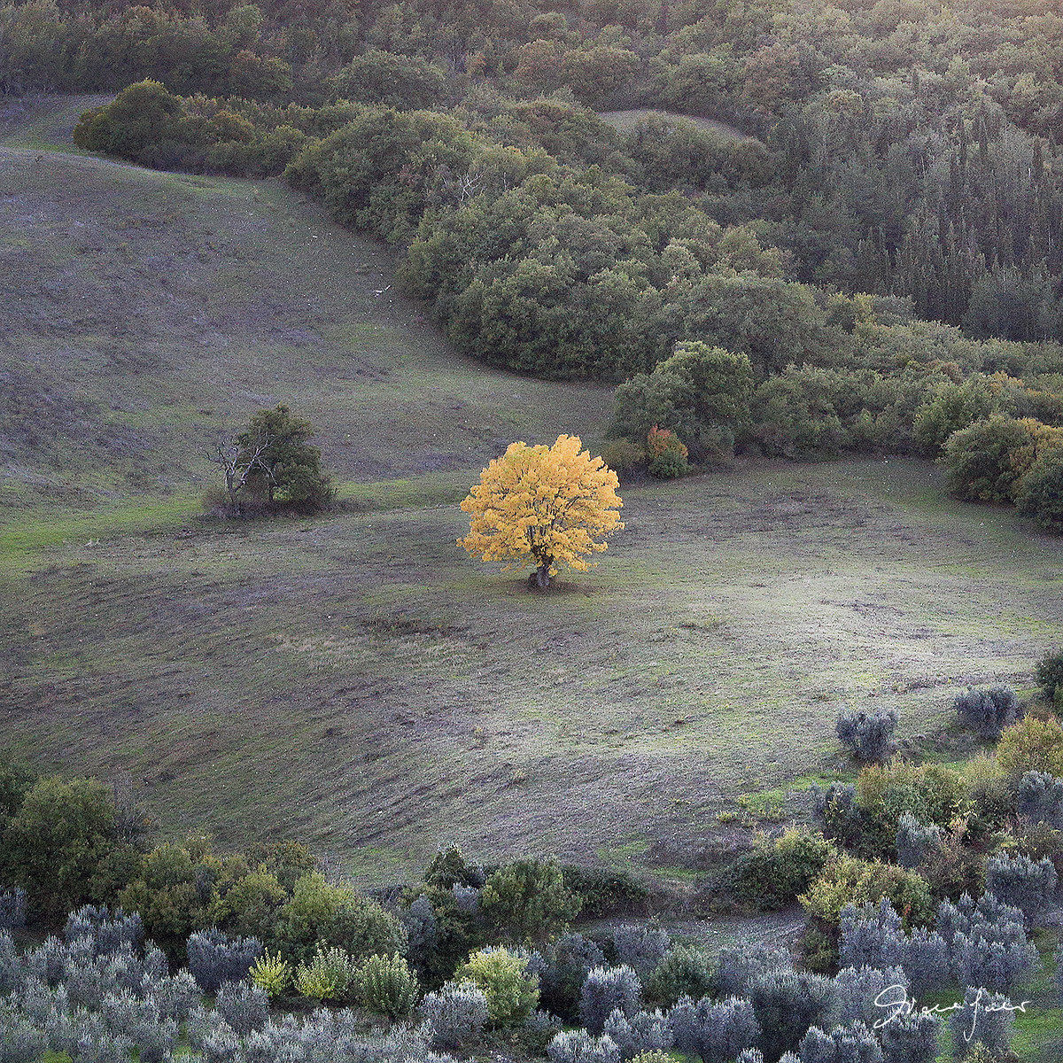 Autumn in Val d'Orcia