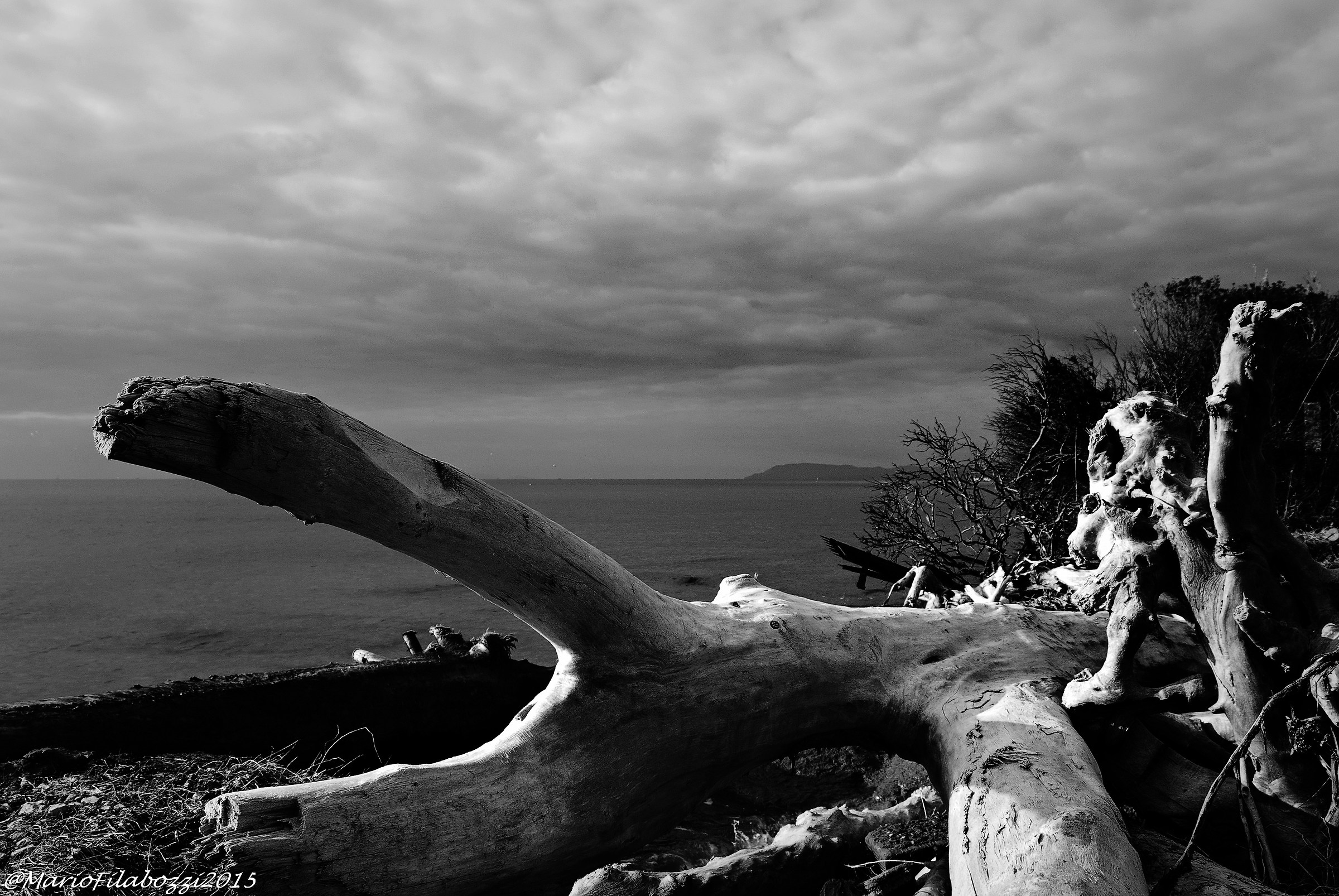 Alle porte del mare...