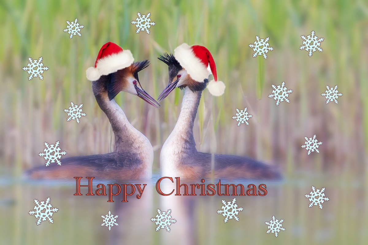 Auguri a questo magnifico forum.