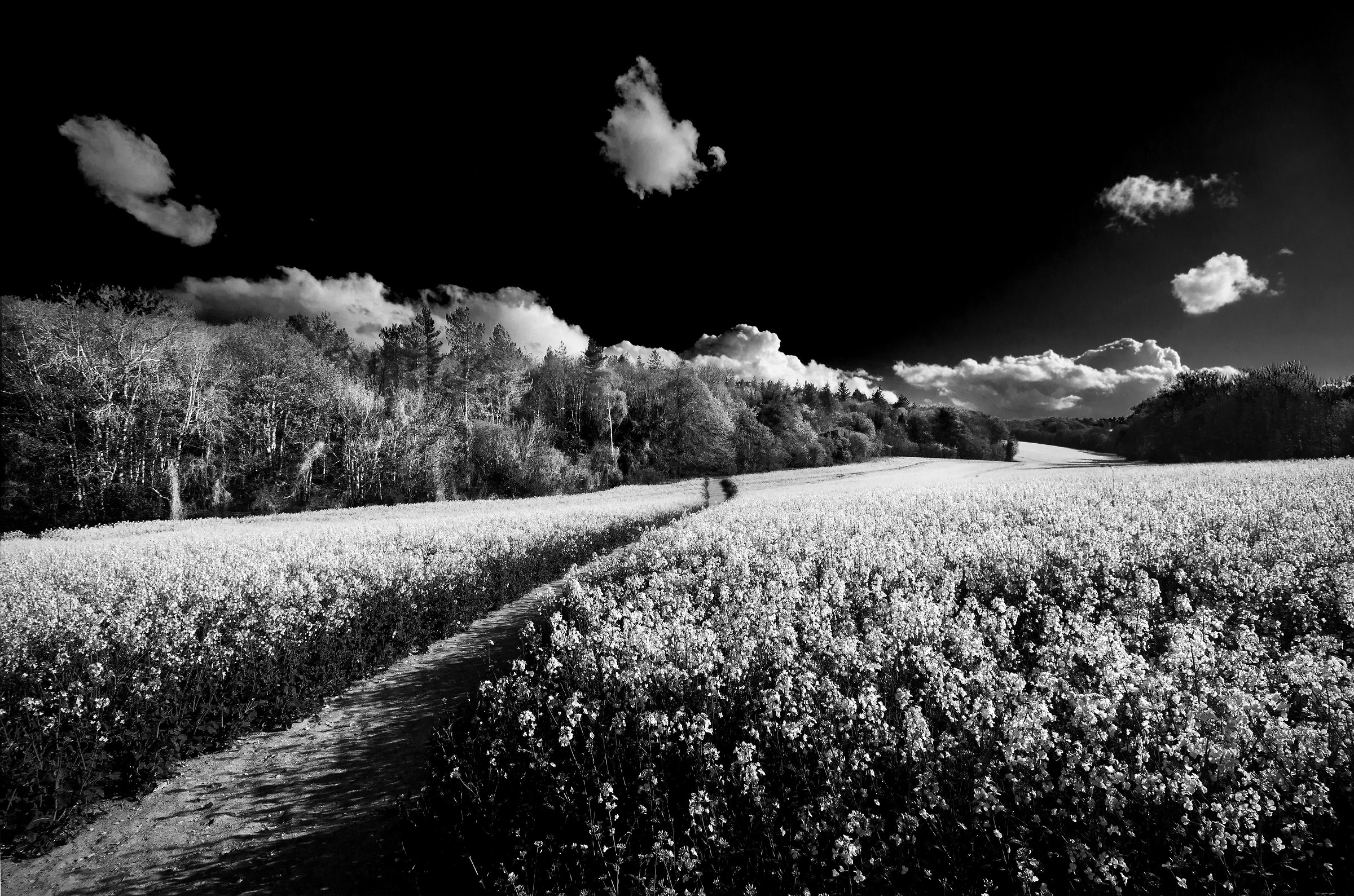 A Non Christmassy image, not taken at Christmas...