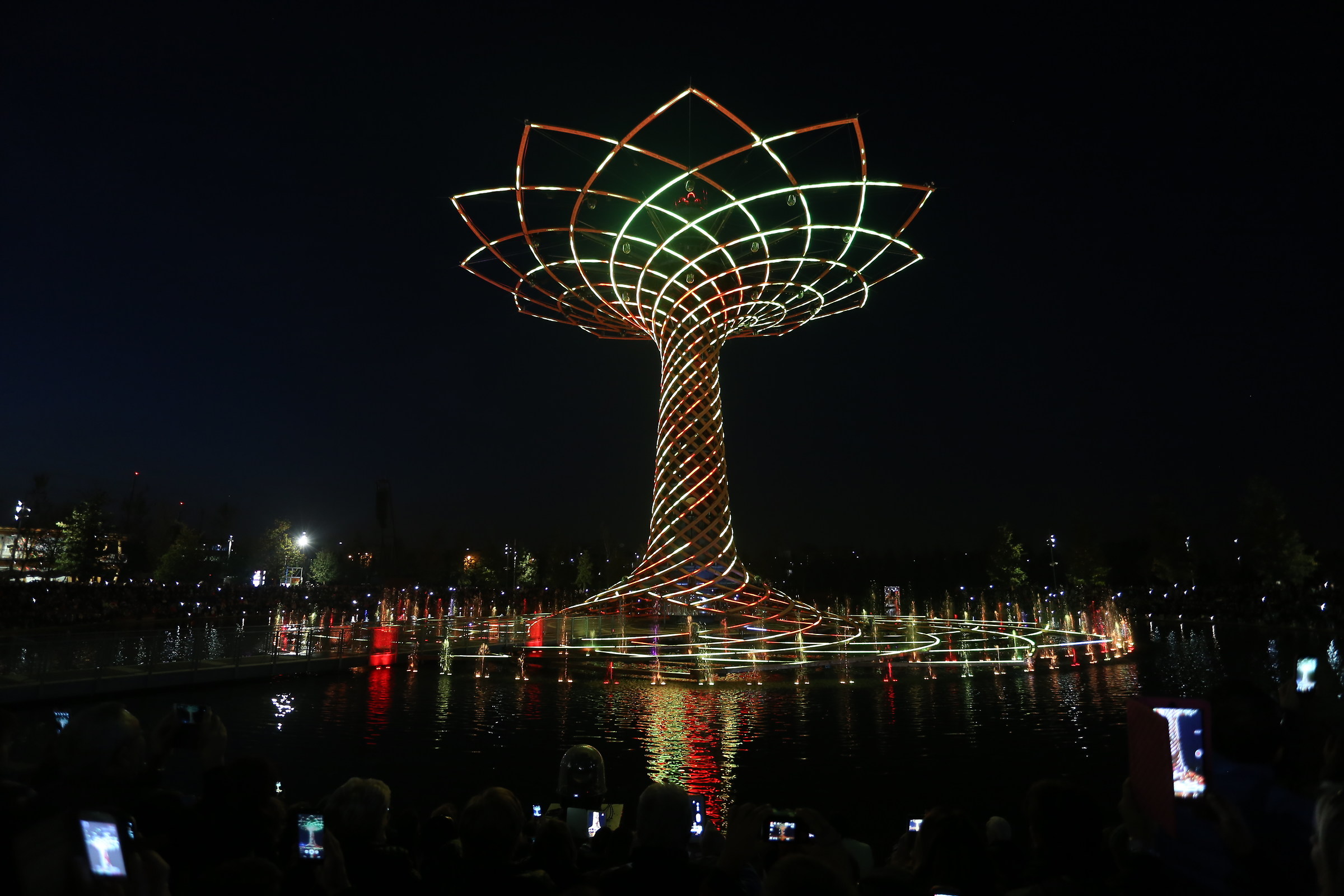 Tree of Life at night