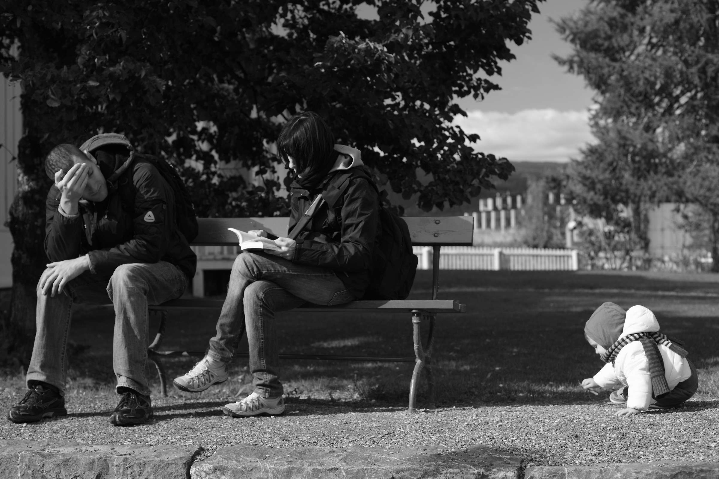 Norwegian reflections