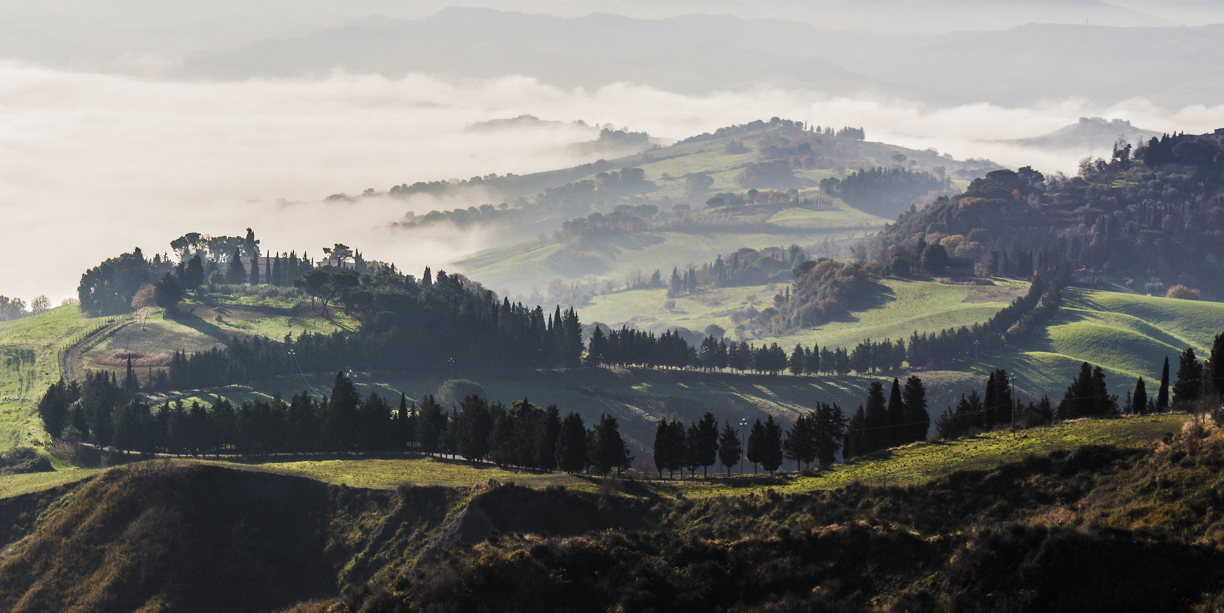 Colline attorno a Volterra
