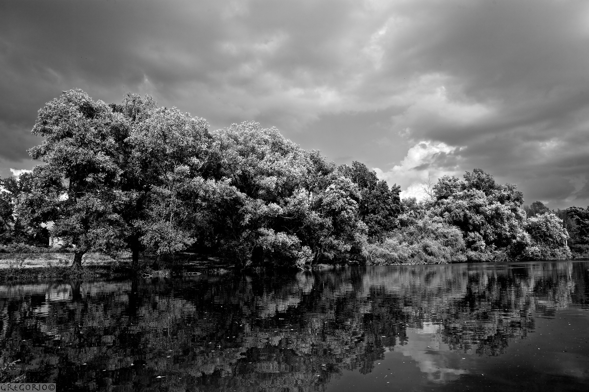 Guardiani dell'eterno