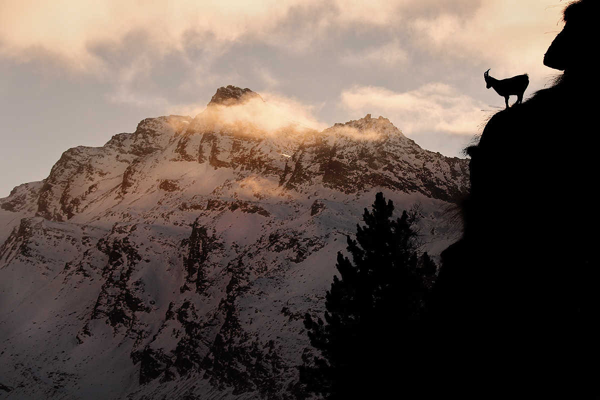 tramonto dietro punta Fourà