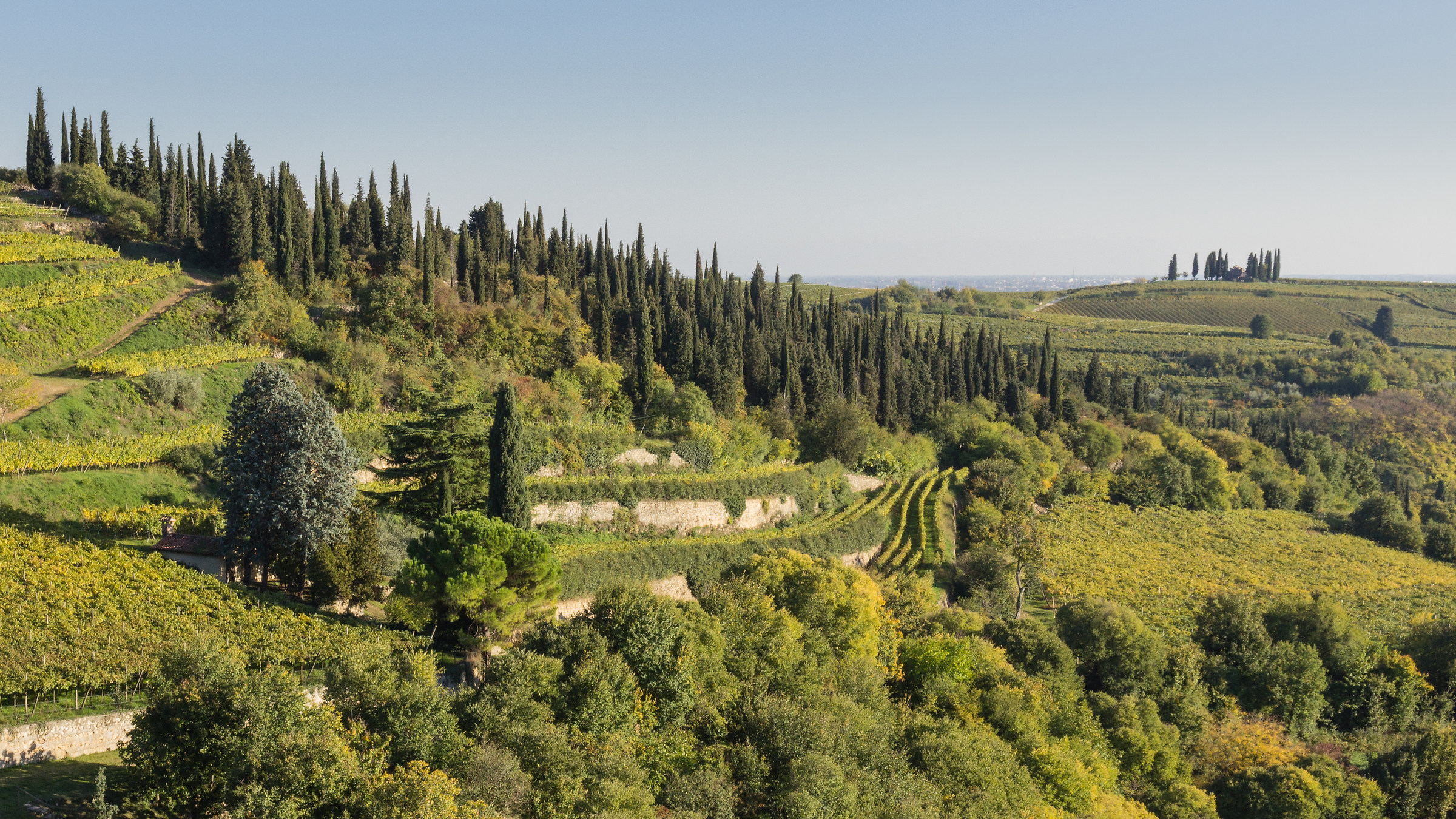 Vista dal castello di Soave