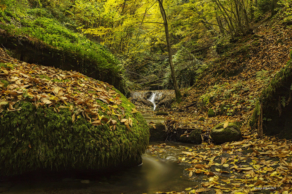 Thr colors of fantasy