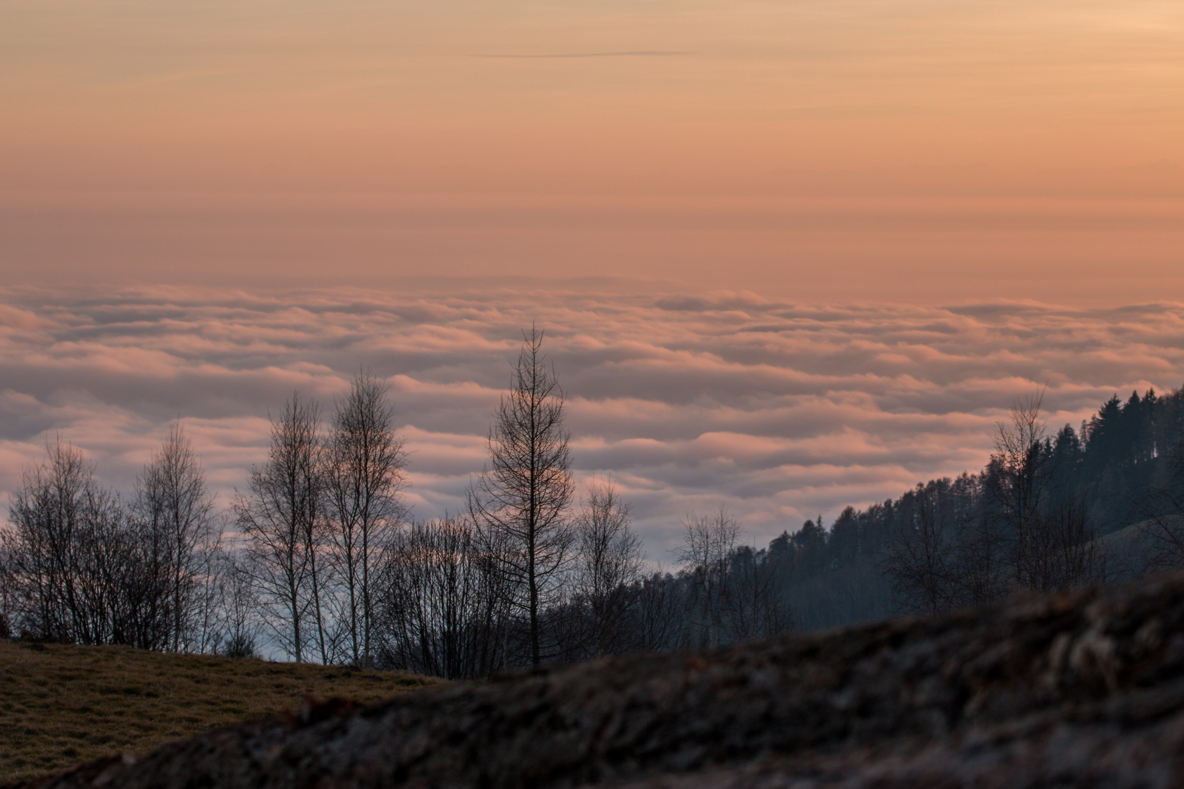 Sunset on a sea of ??fog
