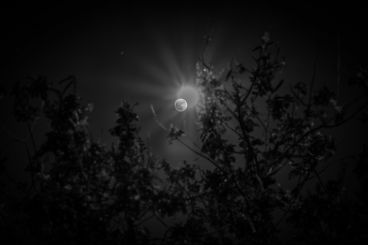 Sun-Christ over full moon on Christmas Night