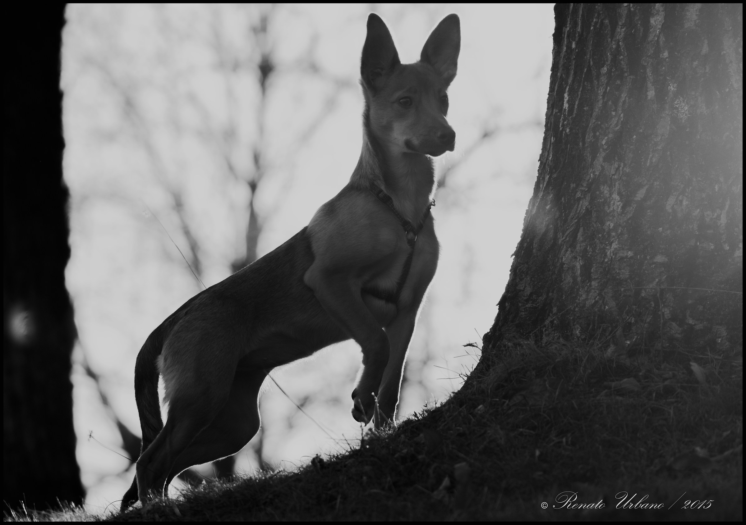 Intense concentration