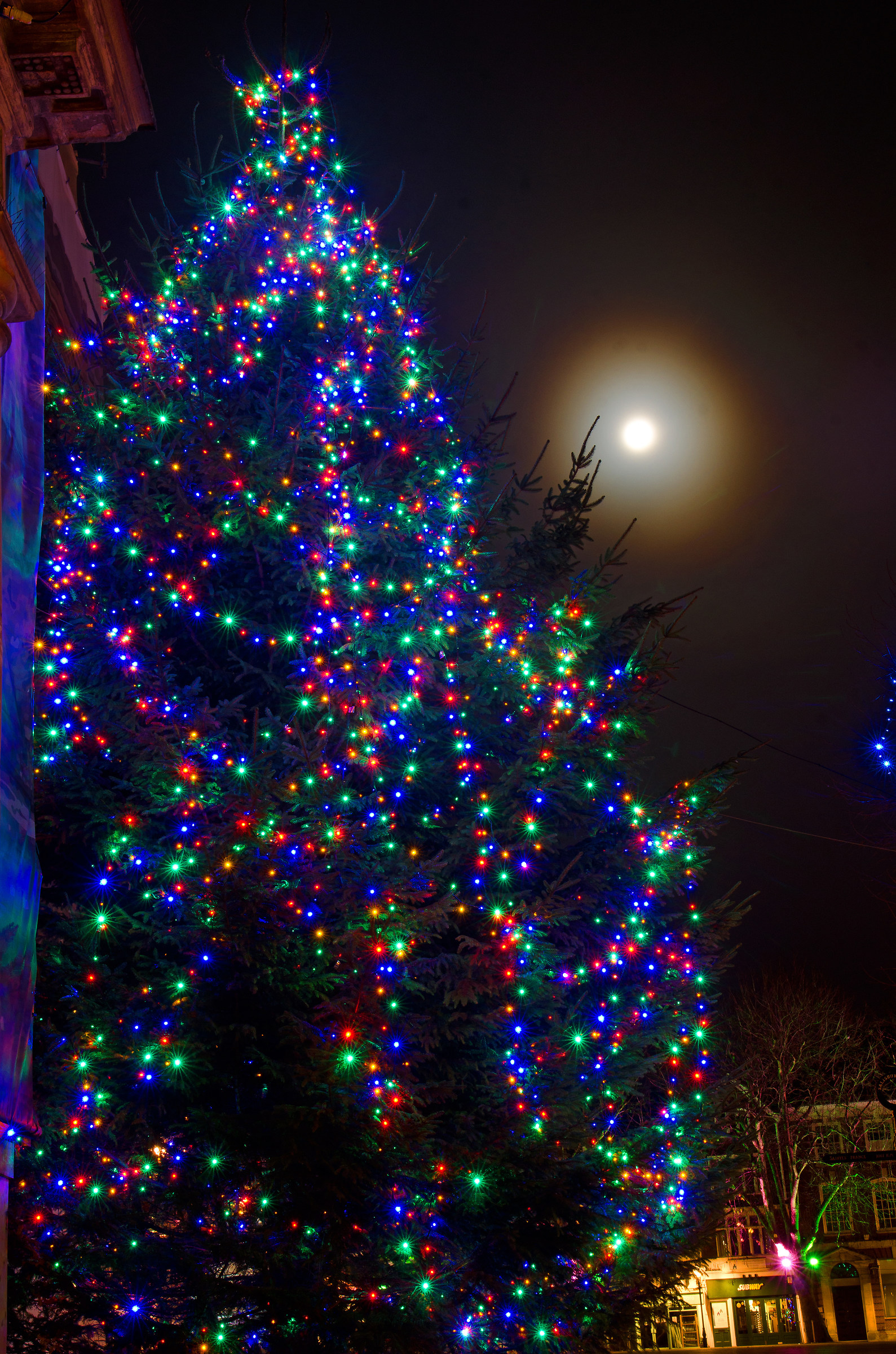Christmas Tree and Moon - Christmas Morning!