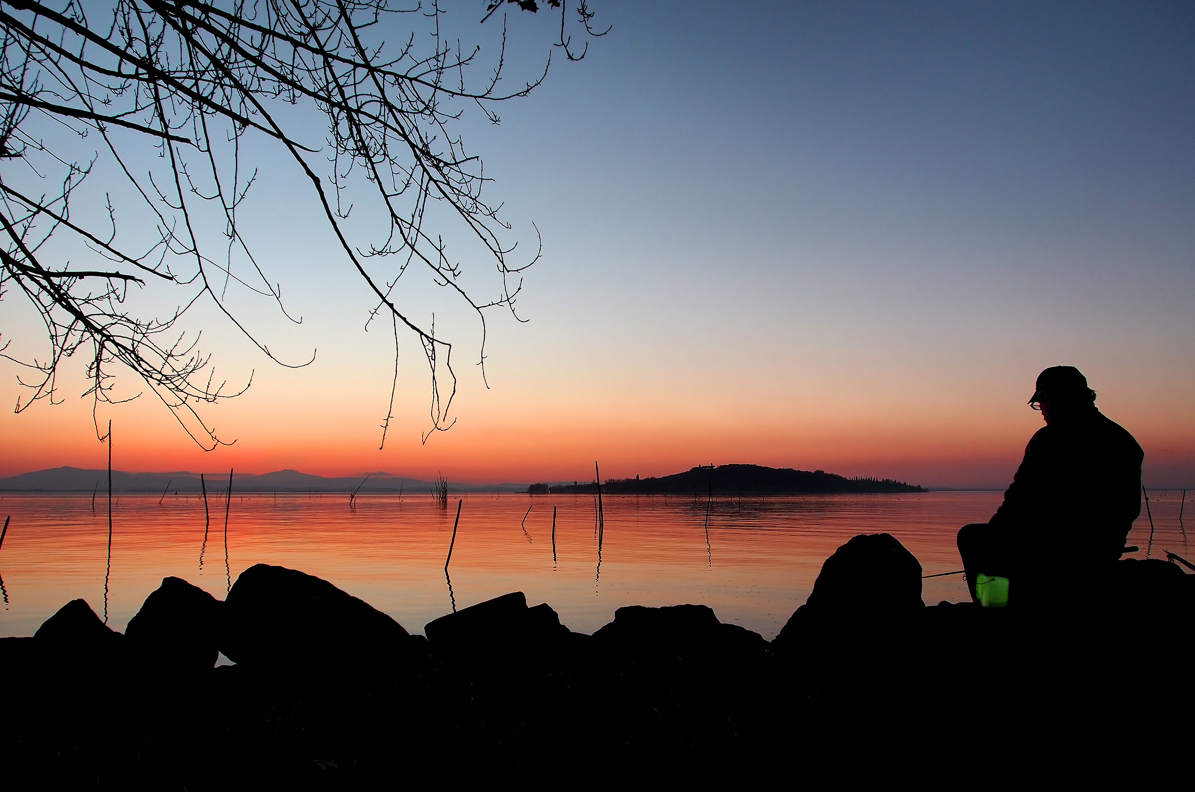 The shade of the last sun ...