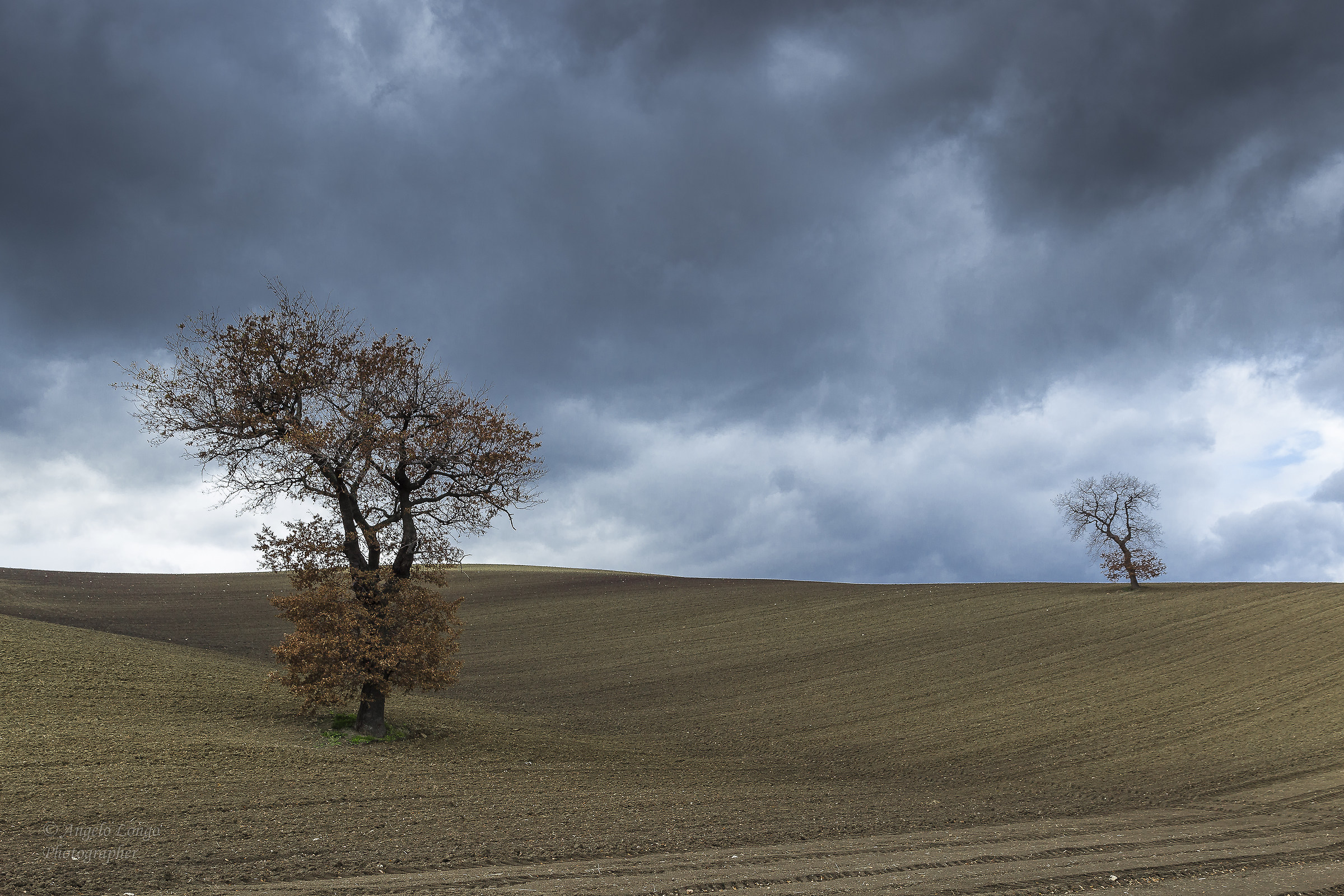 Autumn - agro Lucera (fg)