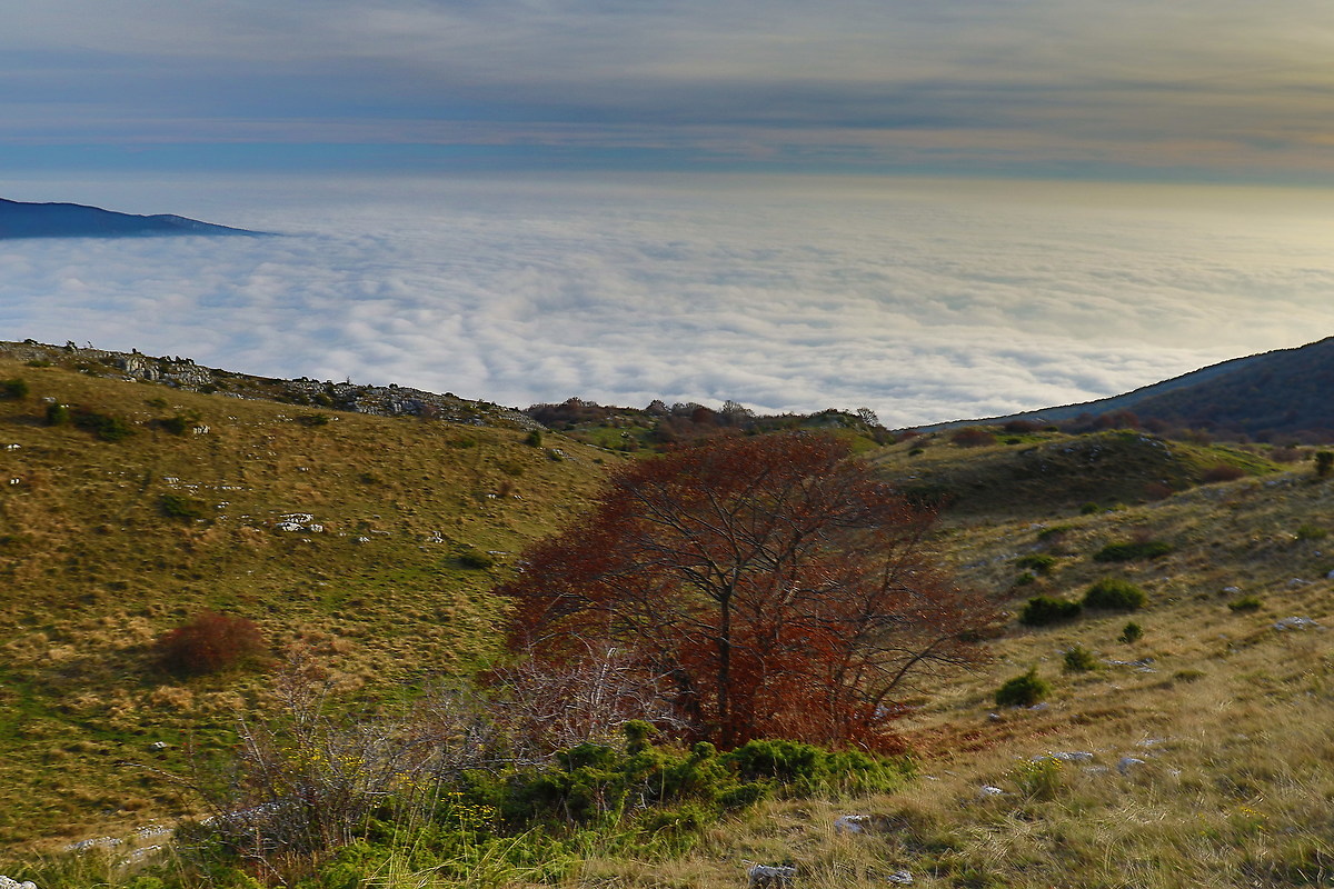 The sea in the mountains