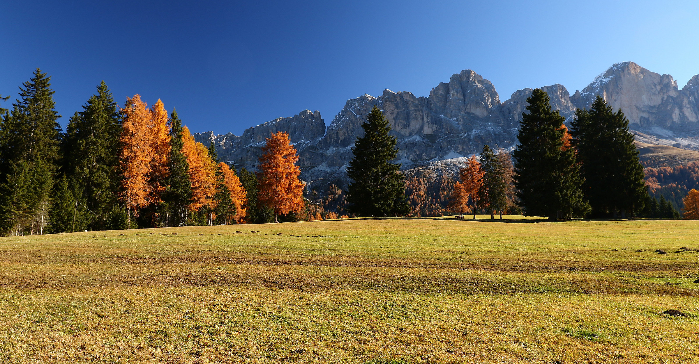 The world that we would like