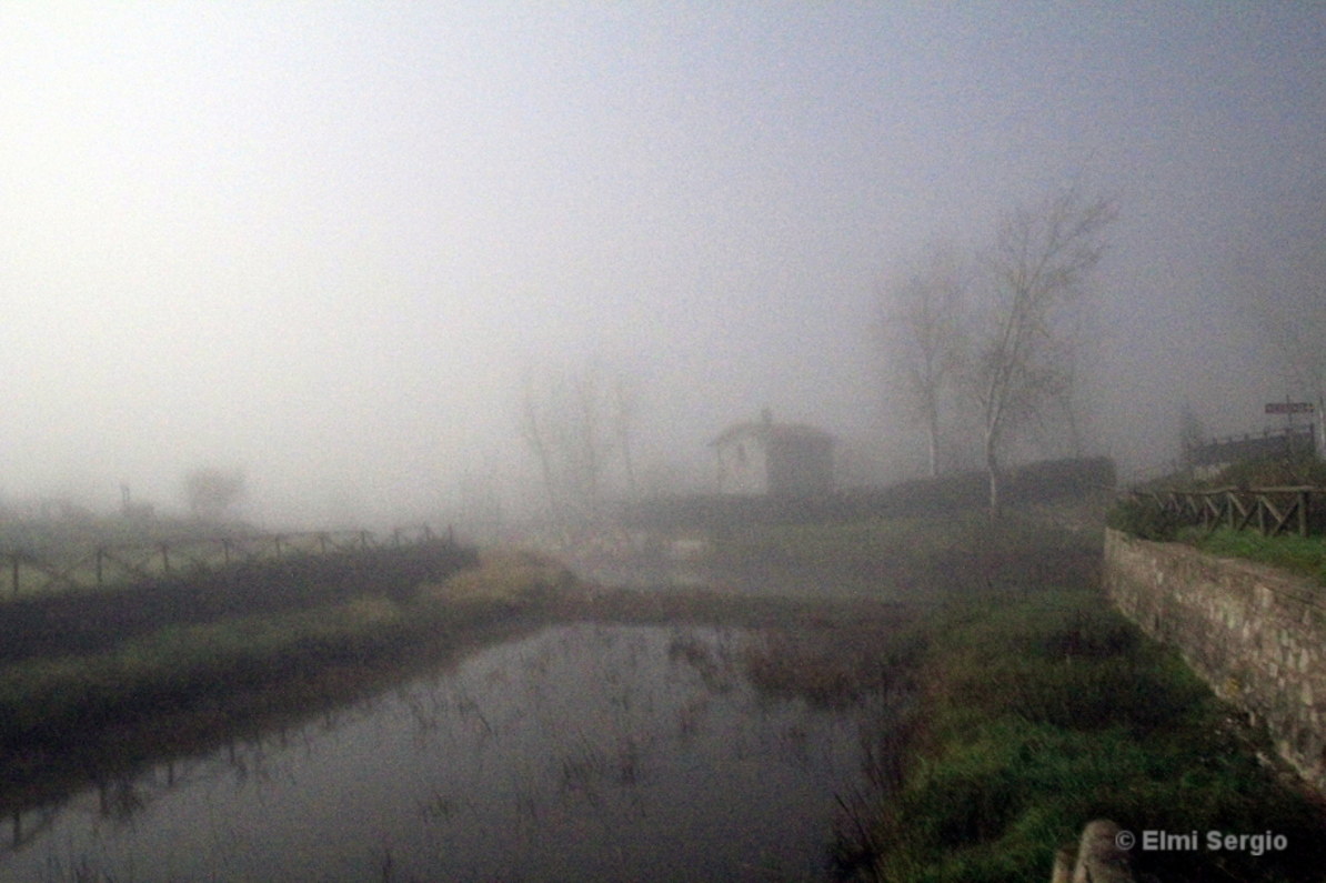 Nella nebbia