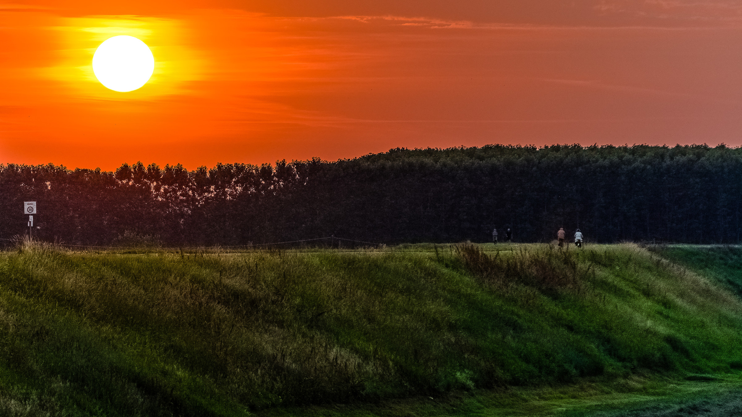 argini  di mezzani (pr)