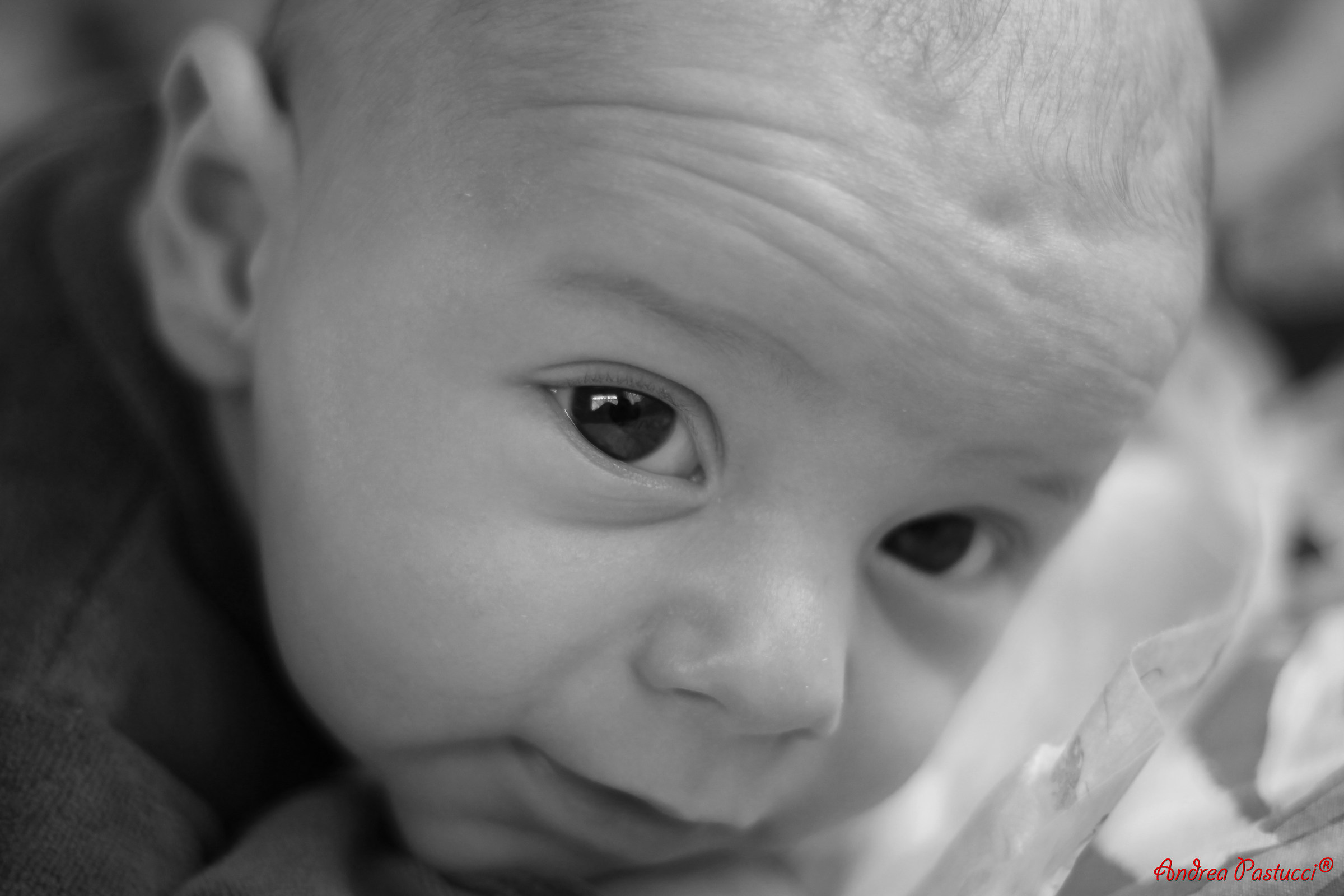 occhi innocenti