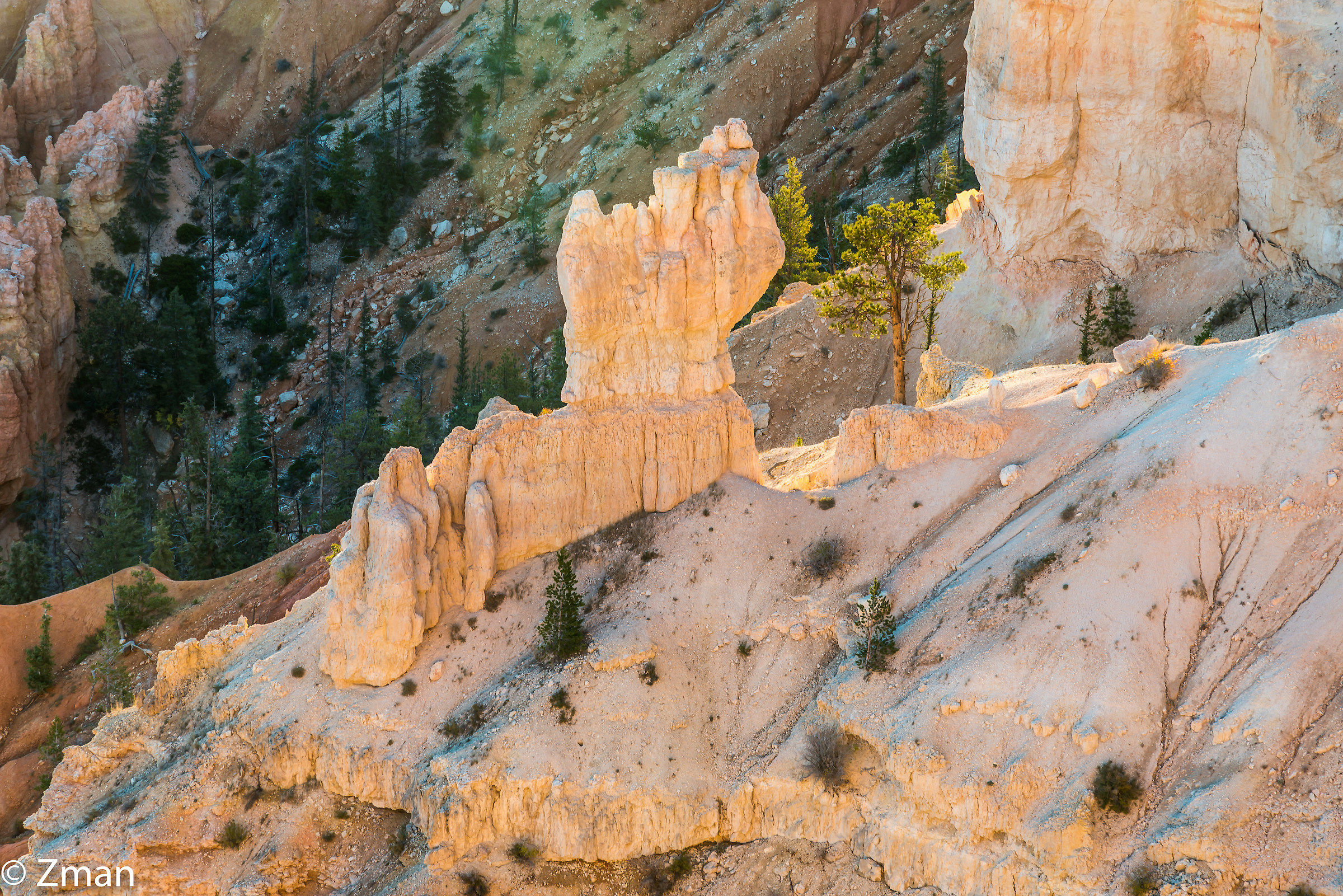 Bryce National Park