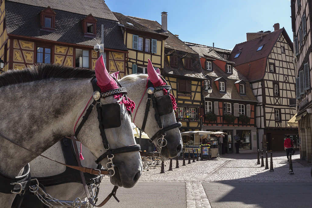 Colmar