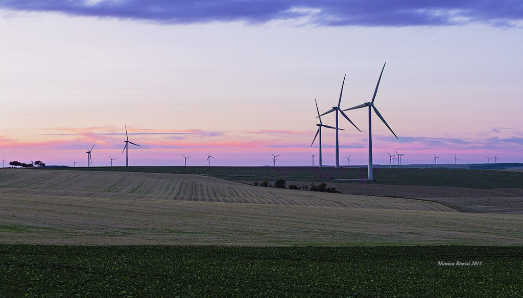 The expanses of wind turbines