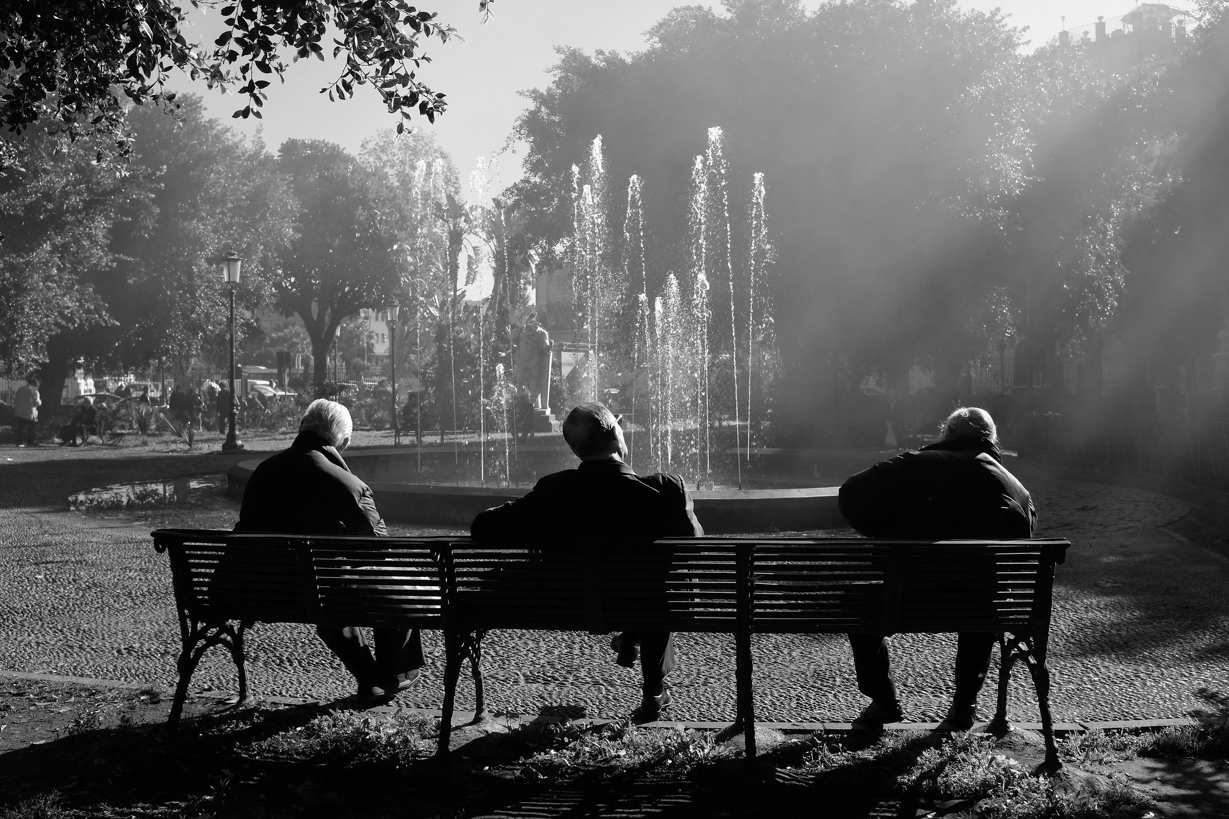 Tre vecchi amici casuali