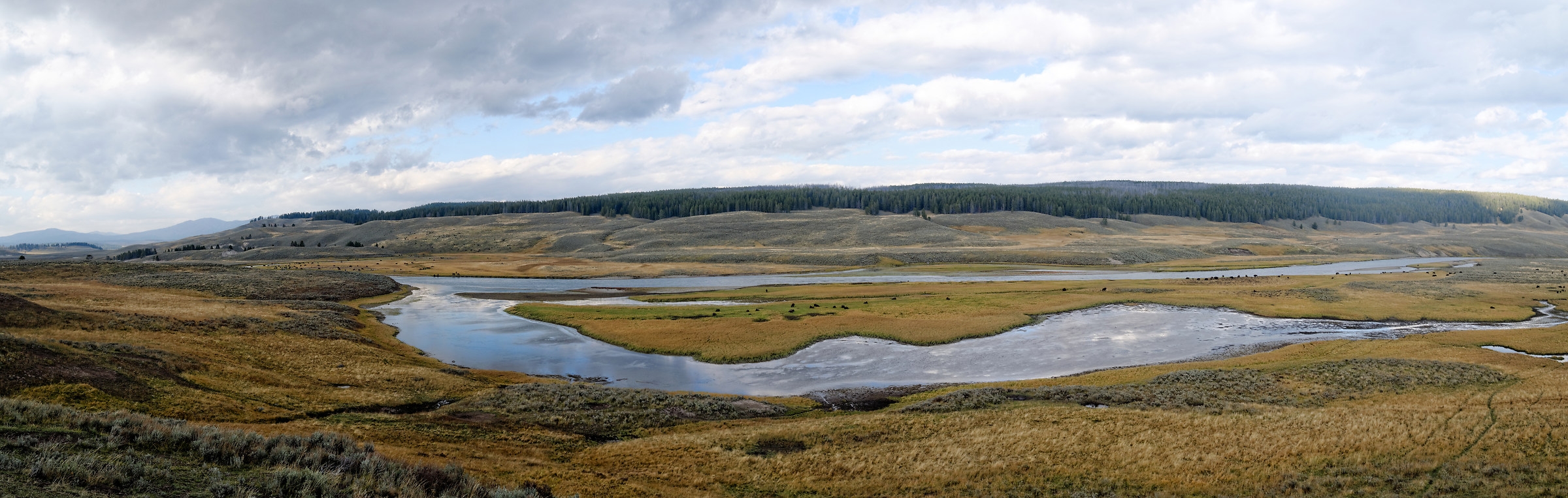 Also this is Yellowstone