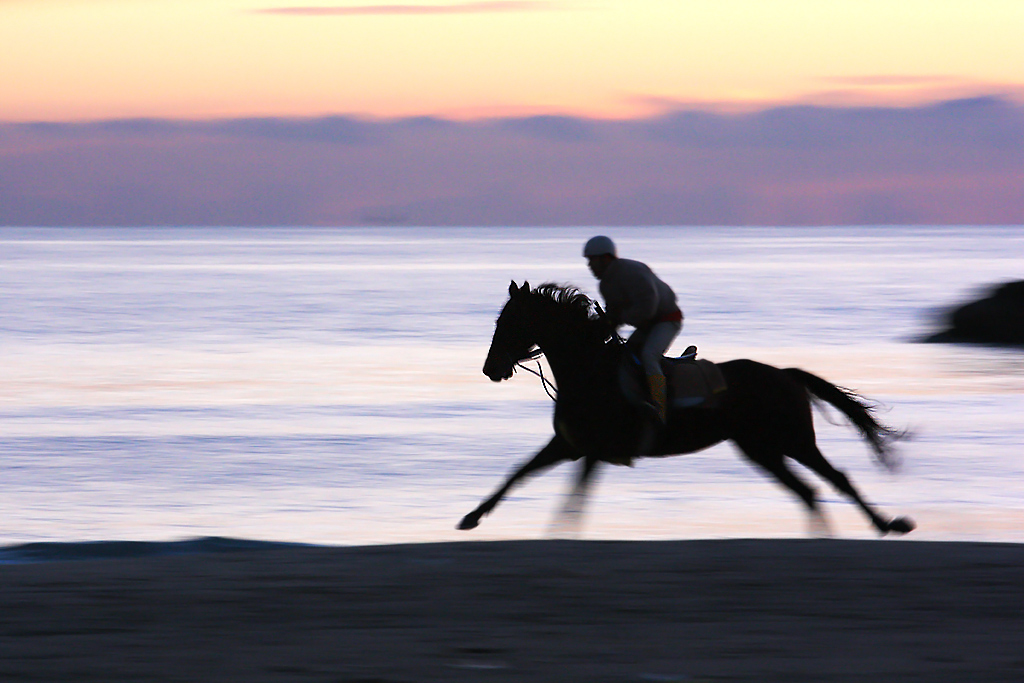 Horse panning