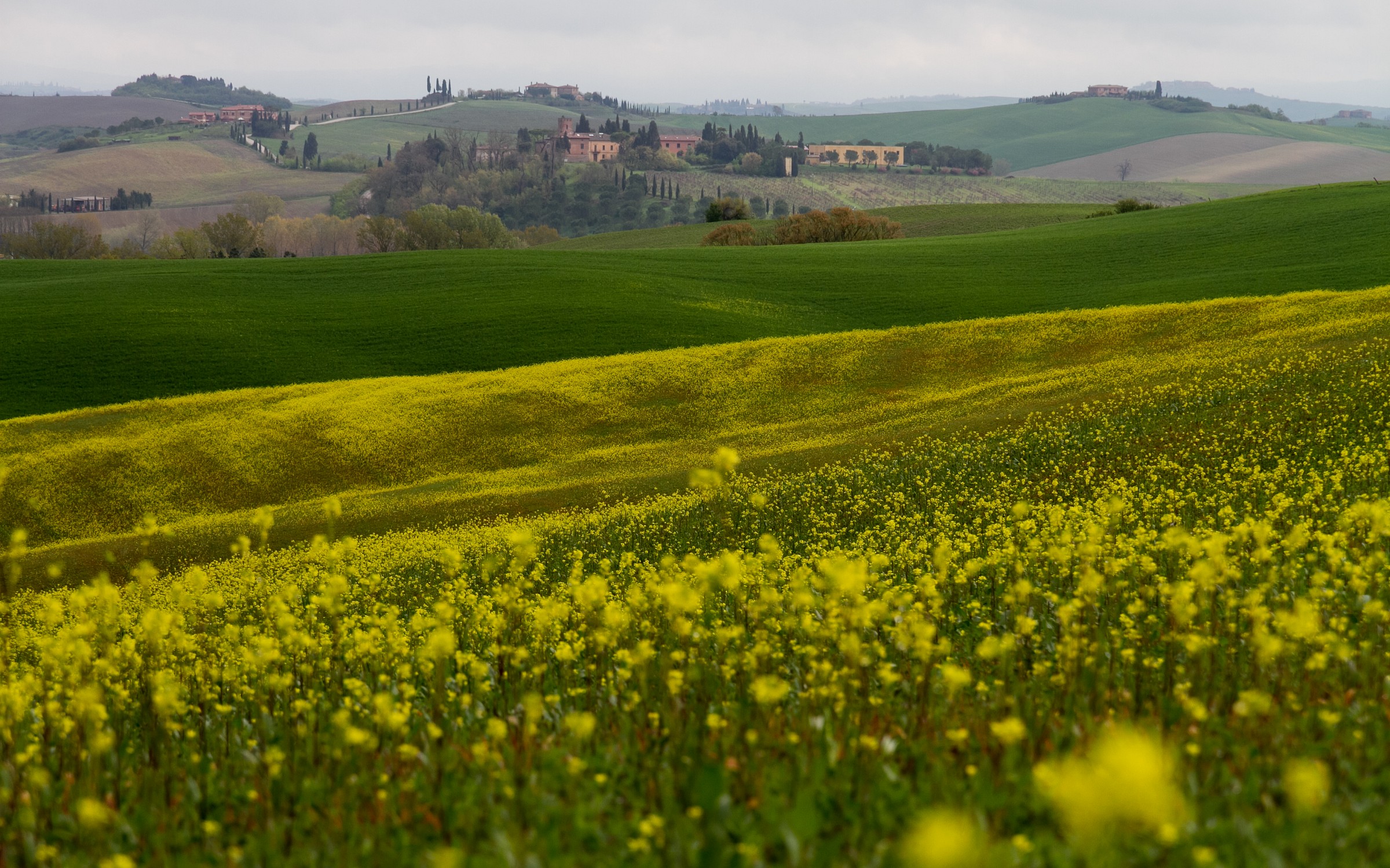 Siena and surroundings
