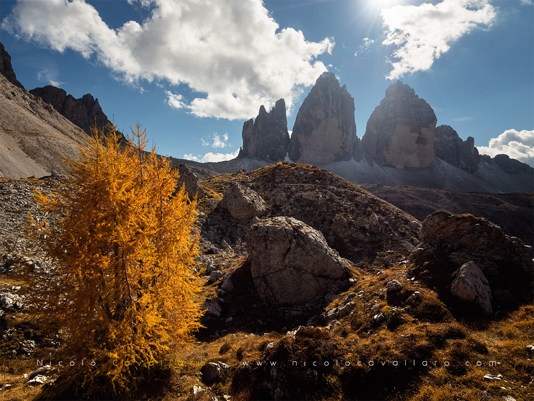 Autunno sulle Tre Cime