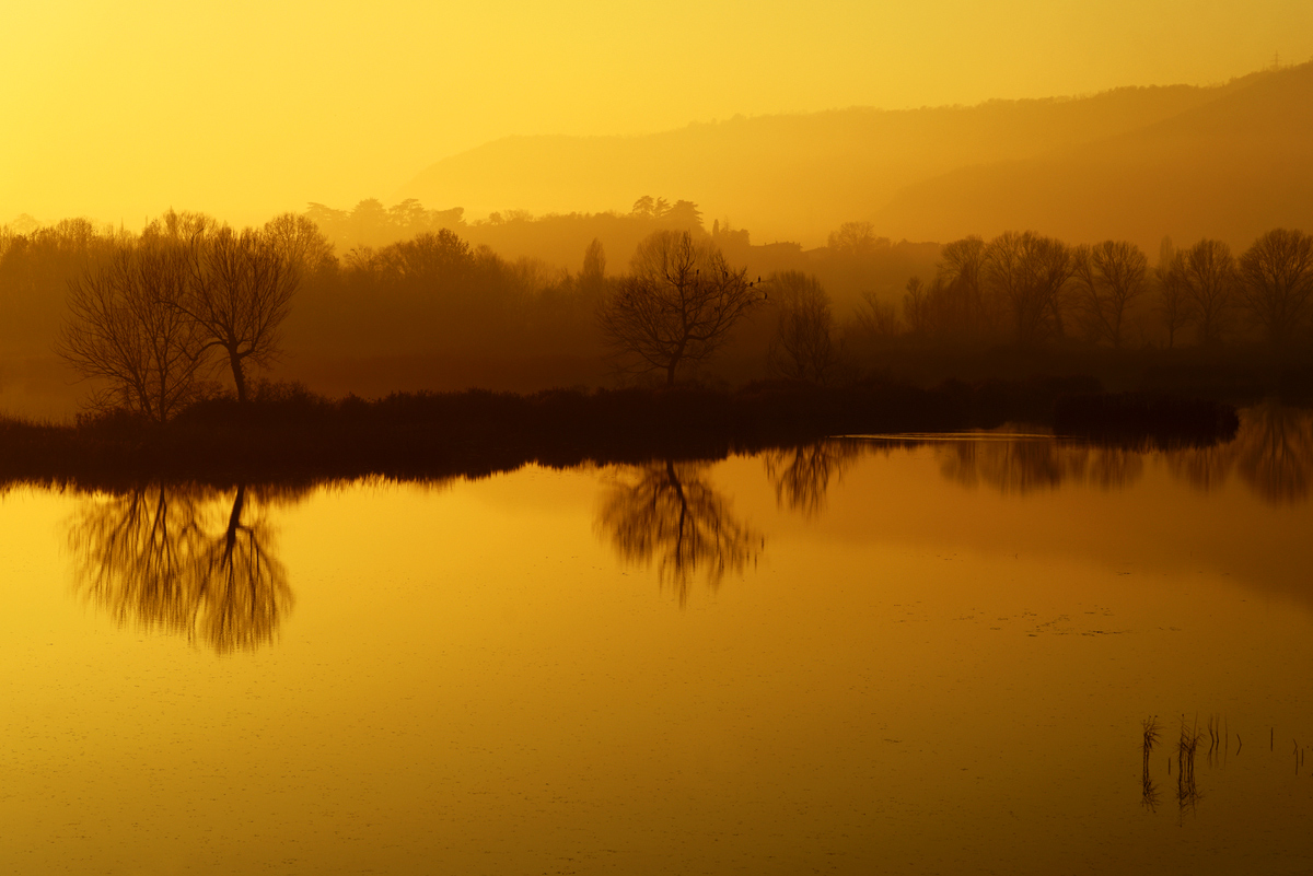 gold panning Torbiere