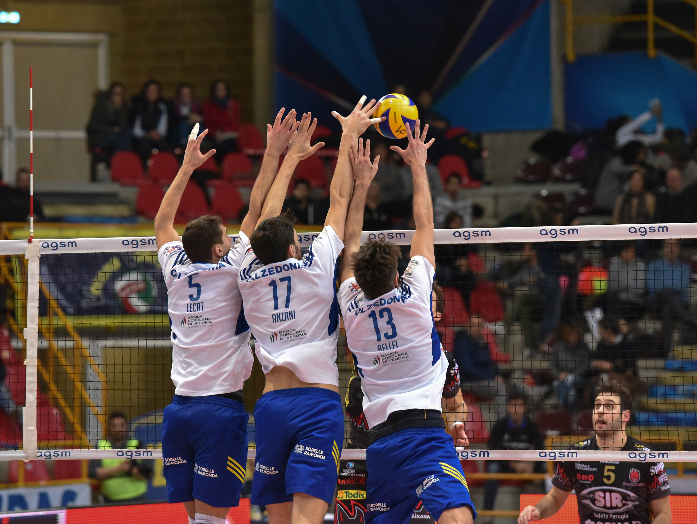 Calzedonia Verona - Sir Safety Perugia Conad