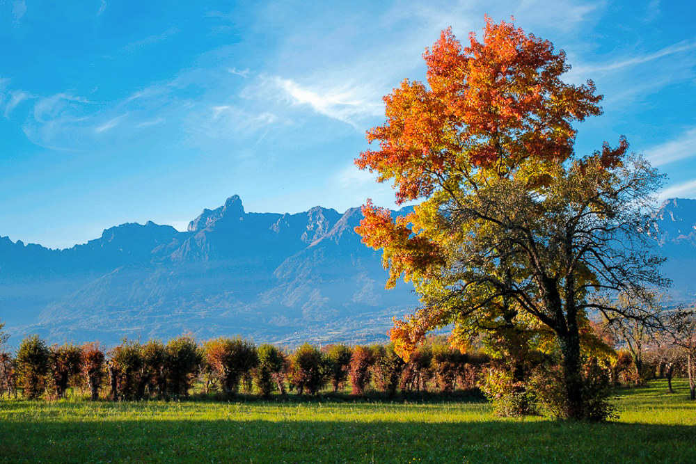 Montagne Bellunesi (da Trichiana)
