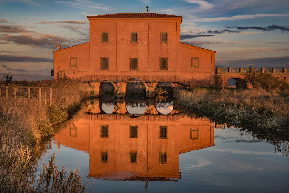 The house red is mirrored