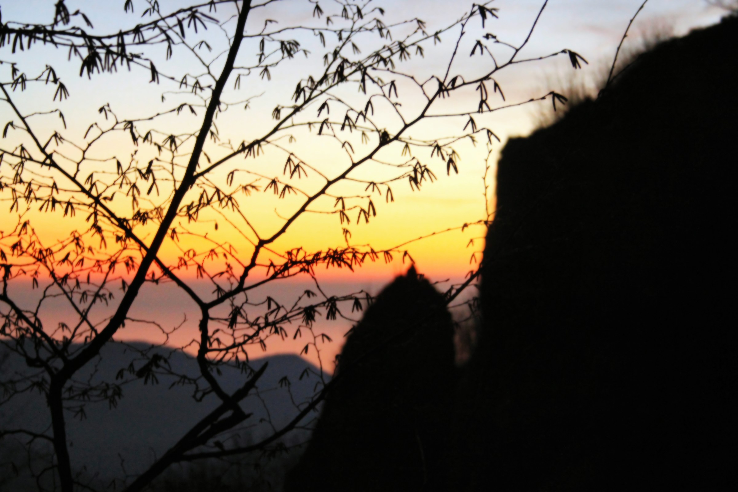 Angkor in the Apuan Alps