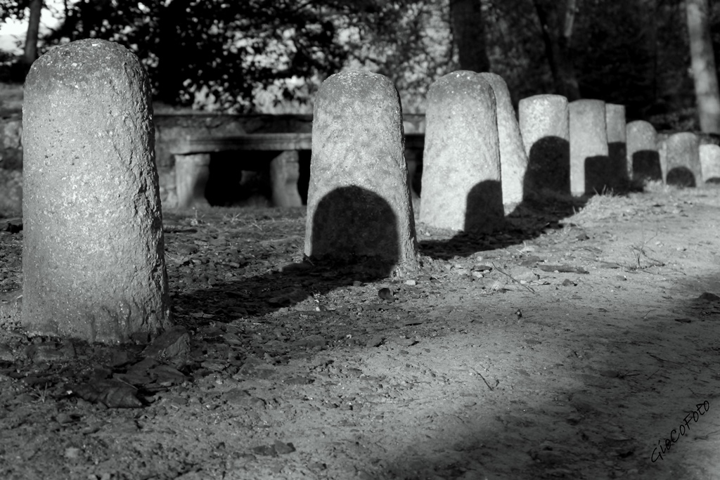 il domino delle Ombre