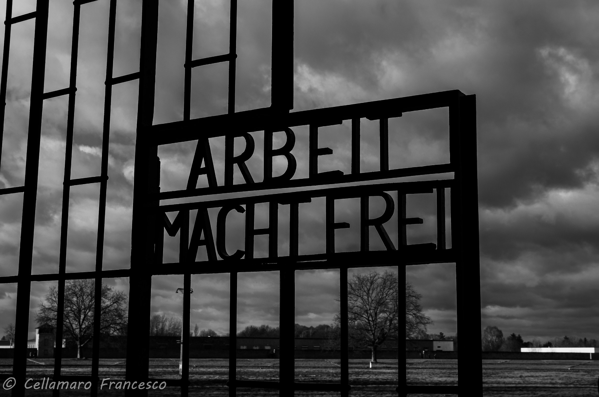 Lavorare rende liberi