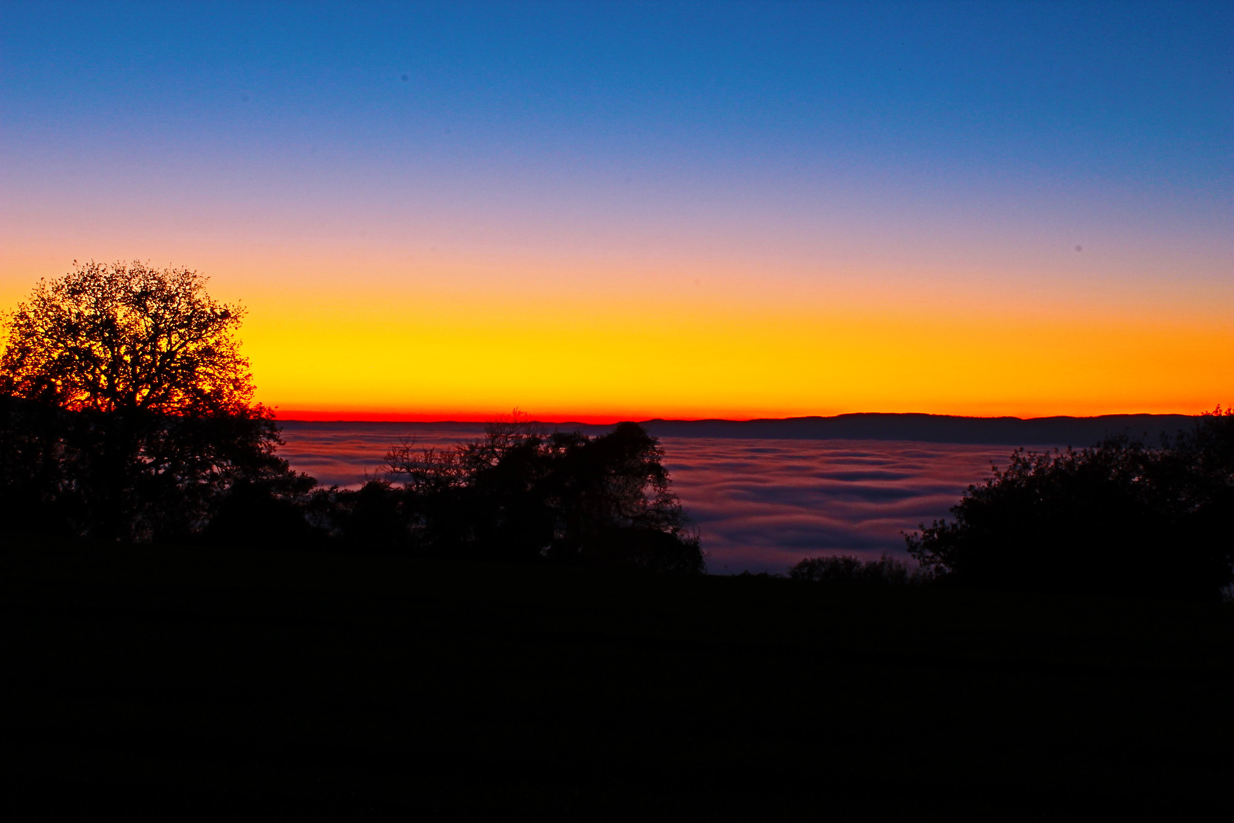 mare di nebbia al tramonto