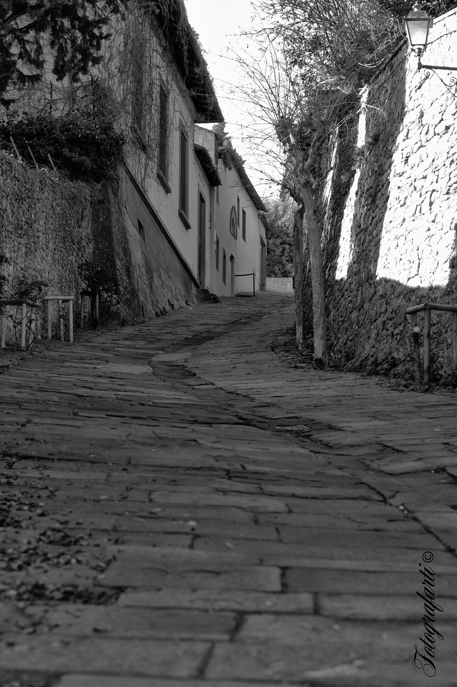 Fiesole,verso la terrazza