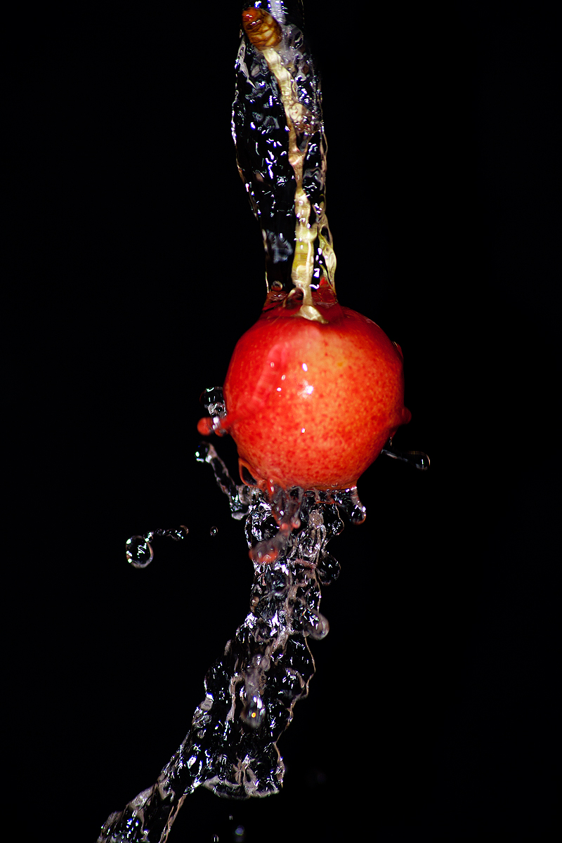 Giugno tempo di ciliegie