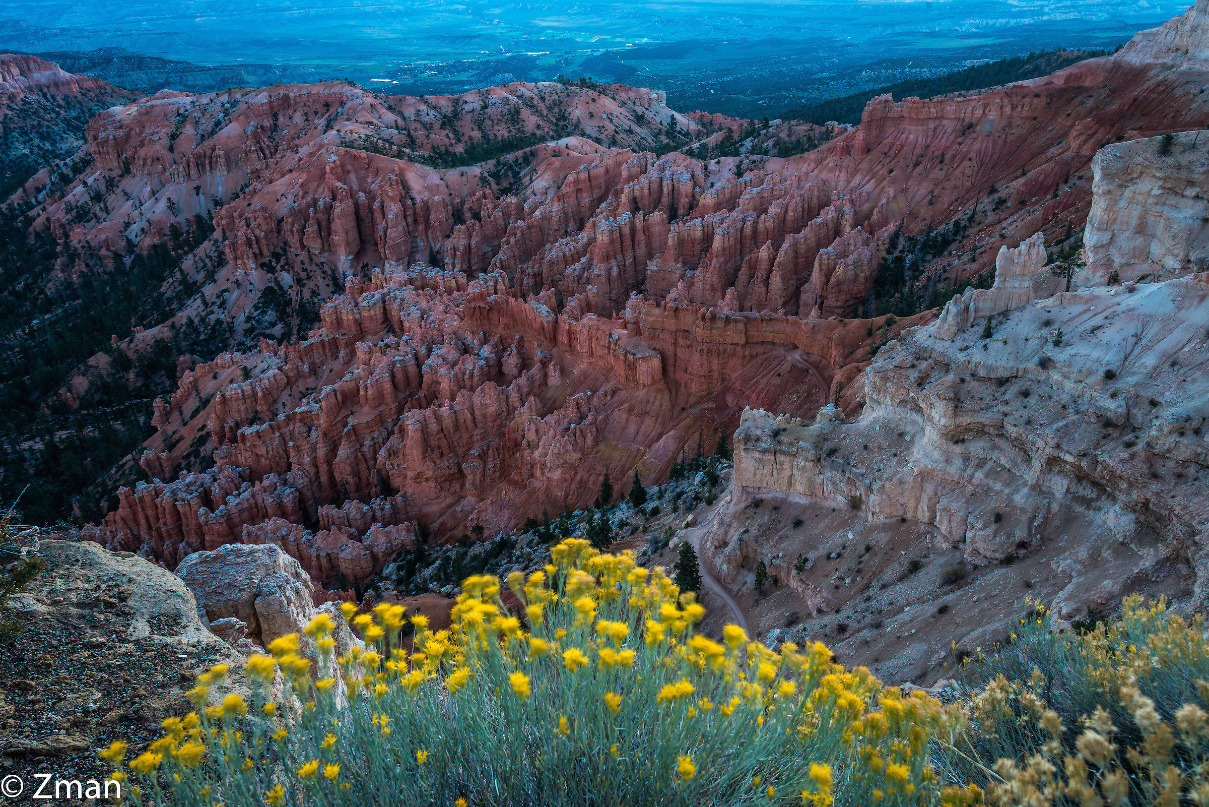 Bryce National Park