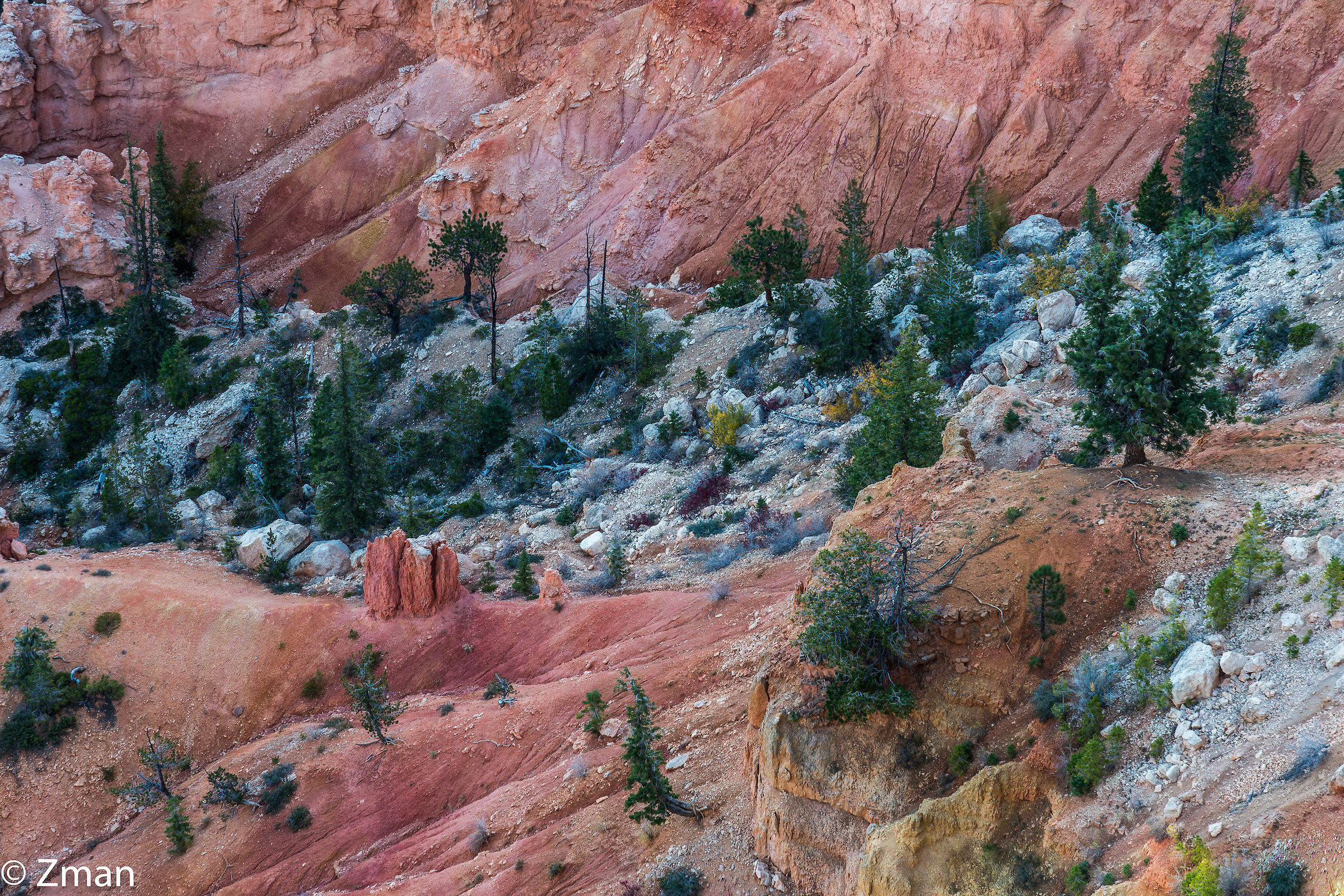 Bryce National Park