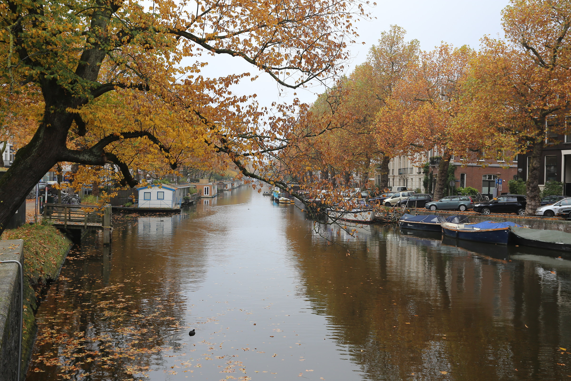 Autunno sui canali di Amsterdam