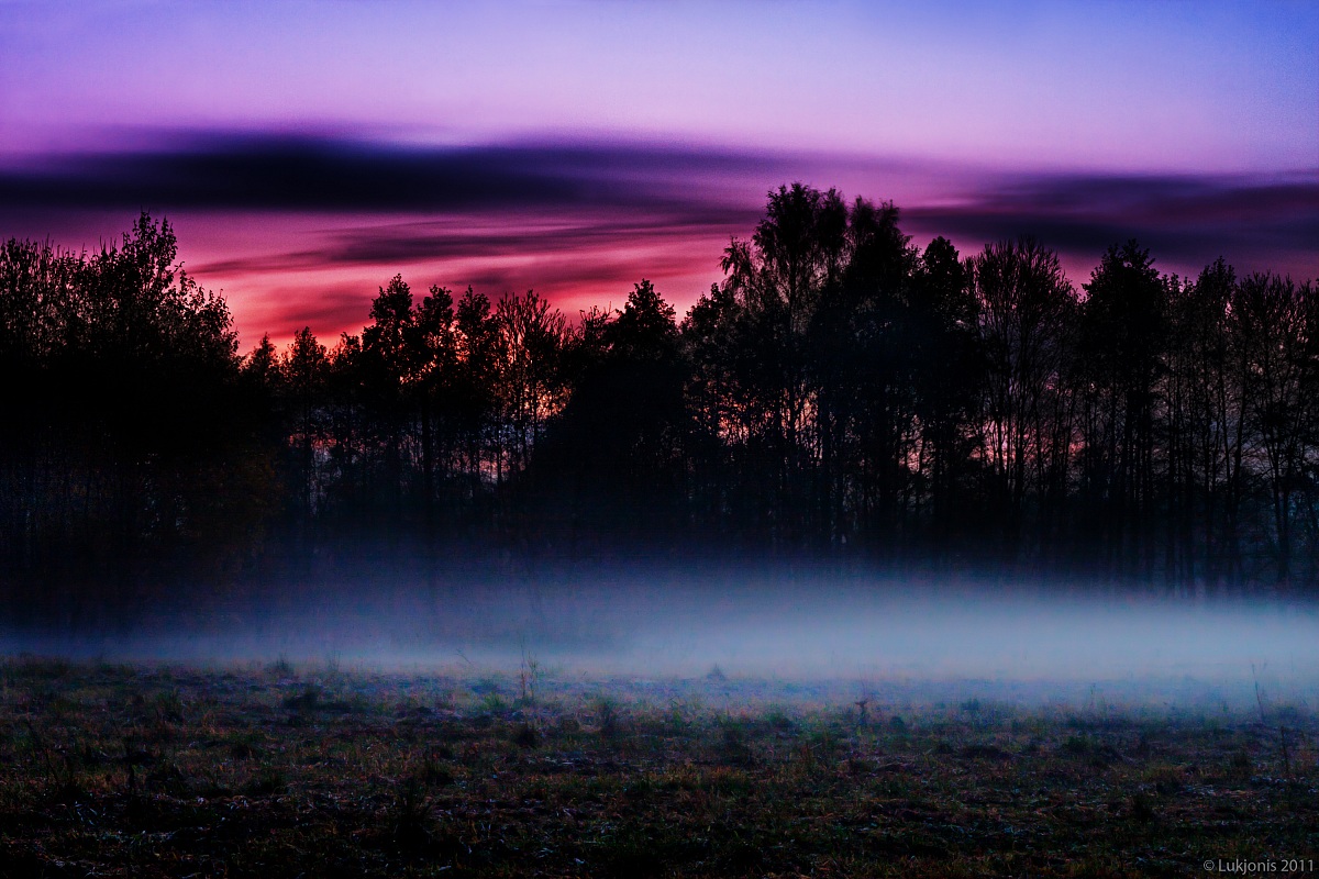 Evening fog