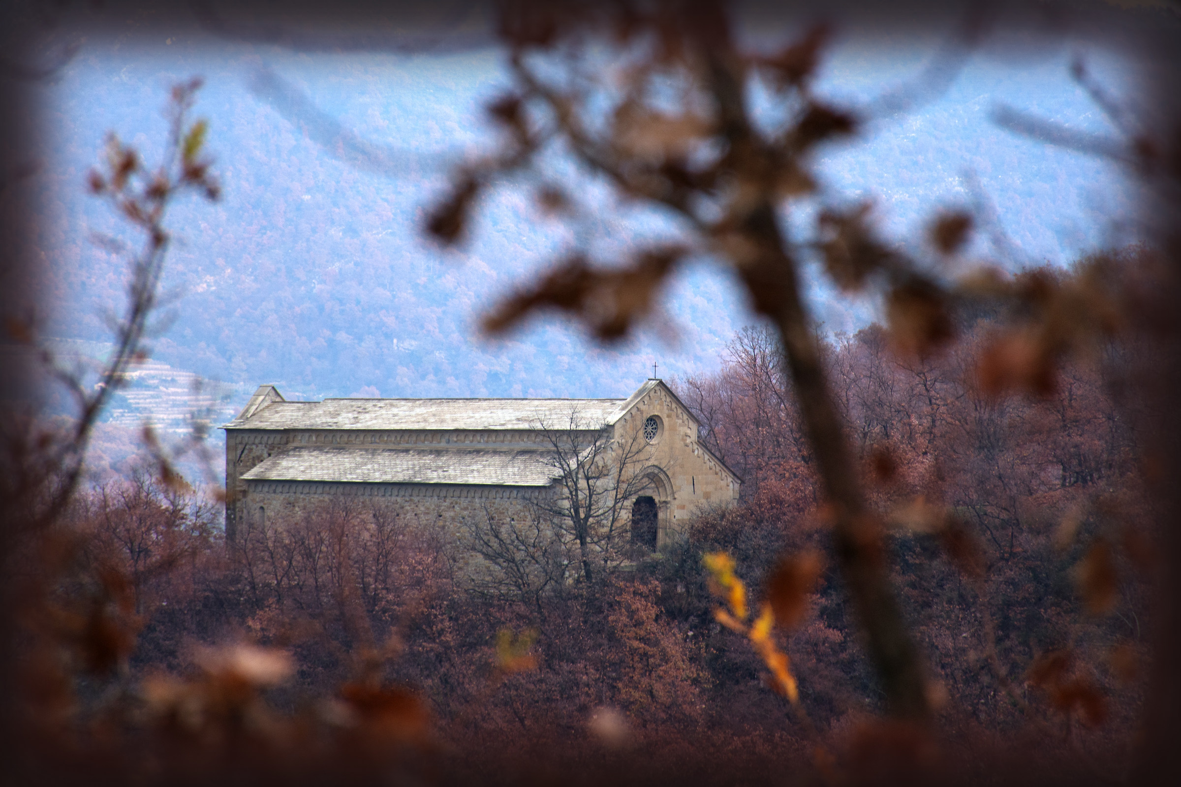 the church in the woods