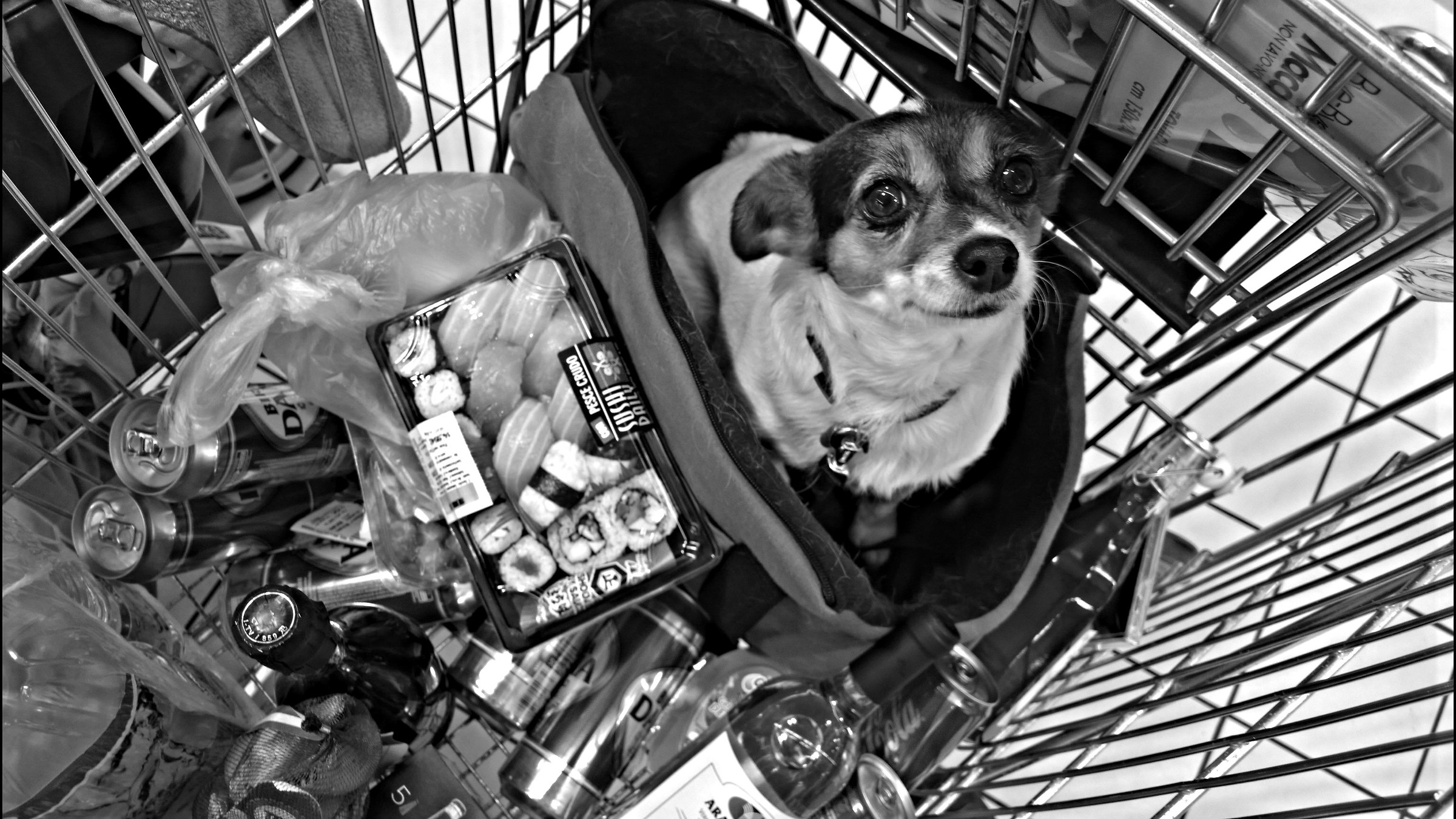 ...fortunatamente non siamo in Cina...