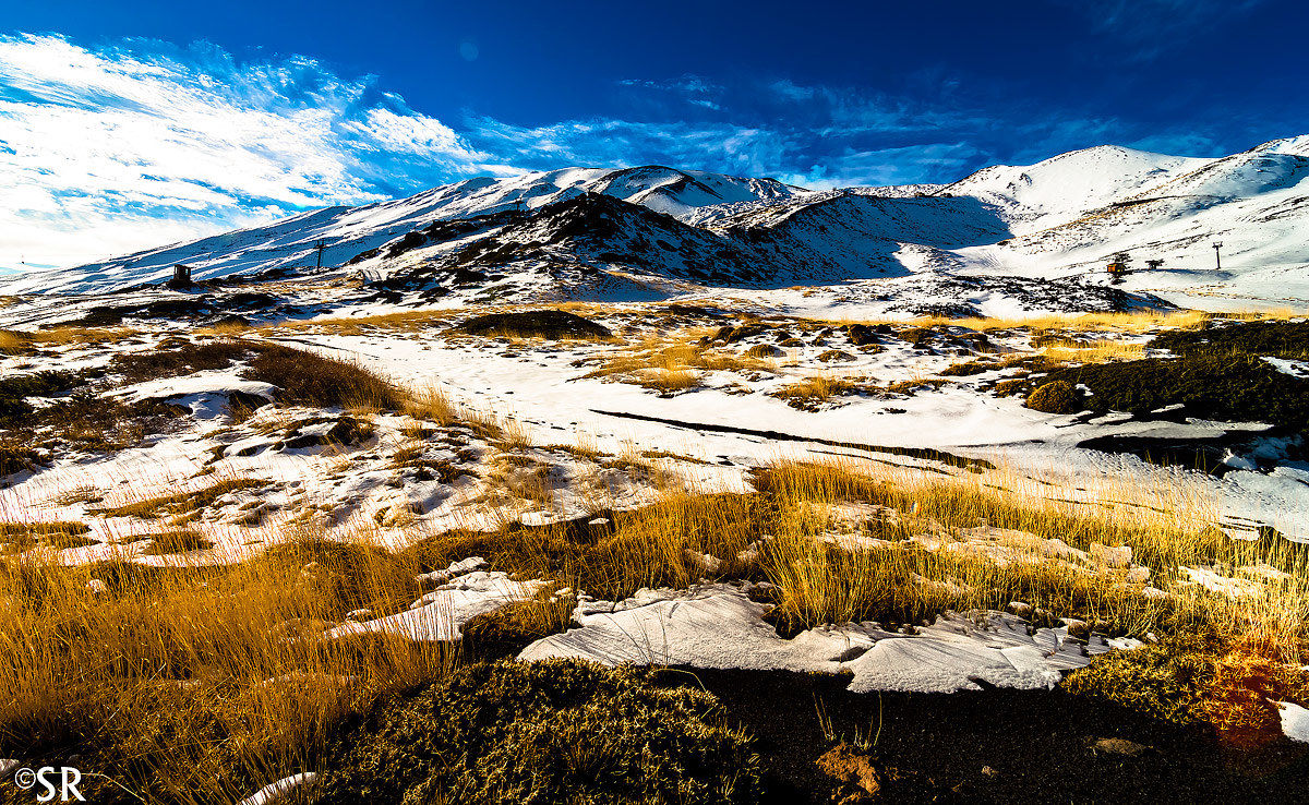 Dedicated to Claudio CARPINATO