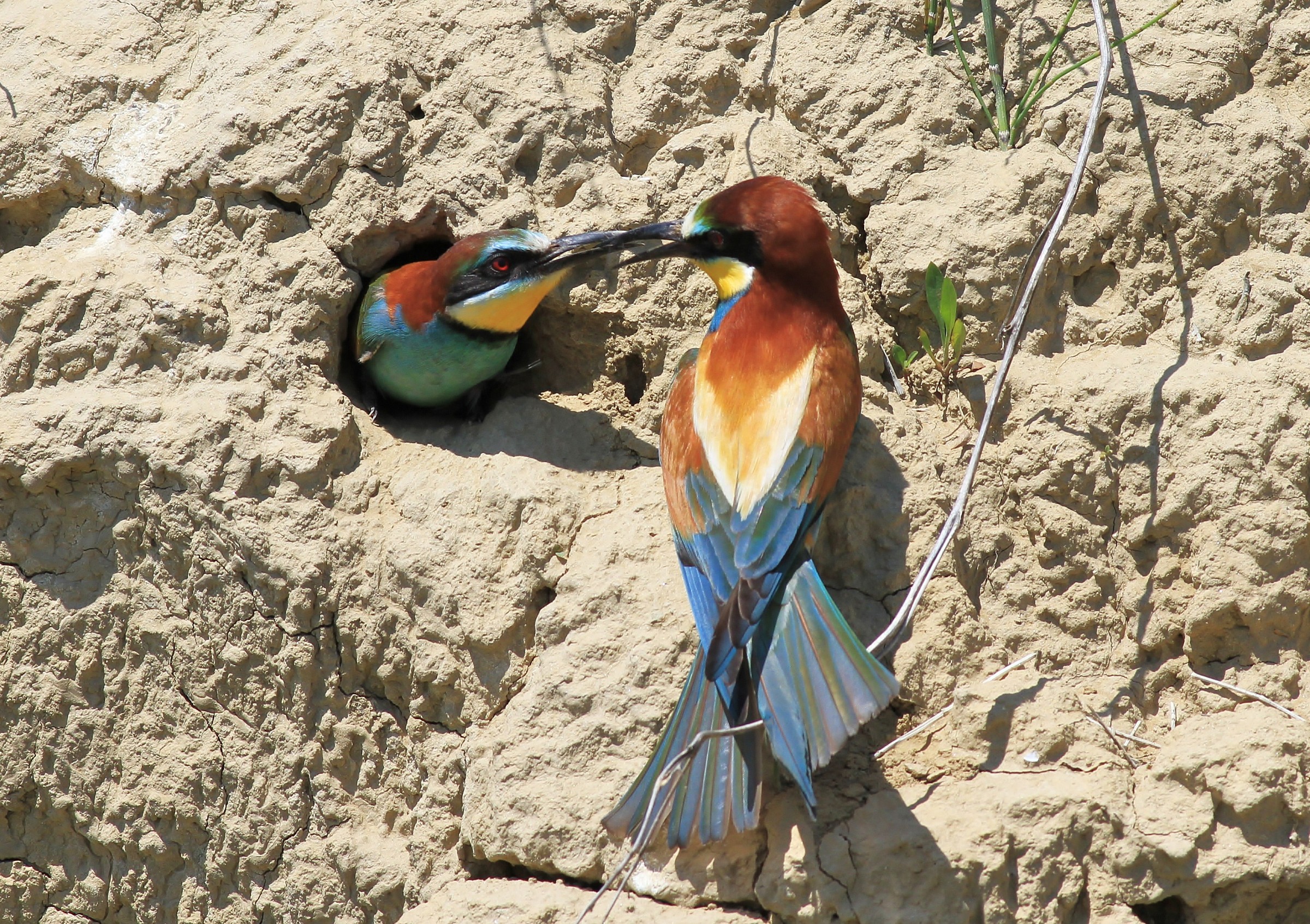 Eccomi......................