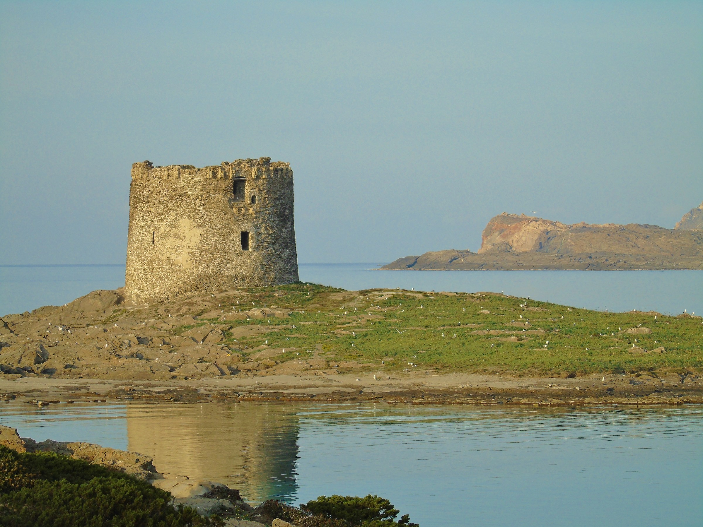 torre della pelosa - stintino